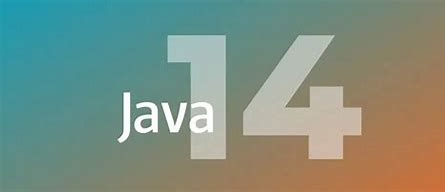 在 Java 中哪些规范支持可选参数？